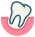 Teeth in a Single Day